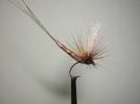 May Fly Split Hackle (MicroCell)